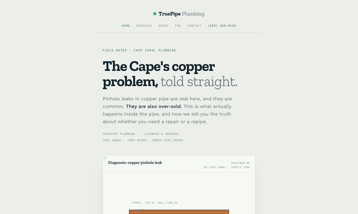 TruePipe Plumbing website preview